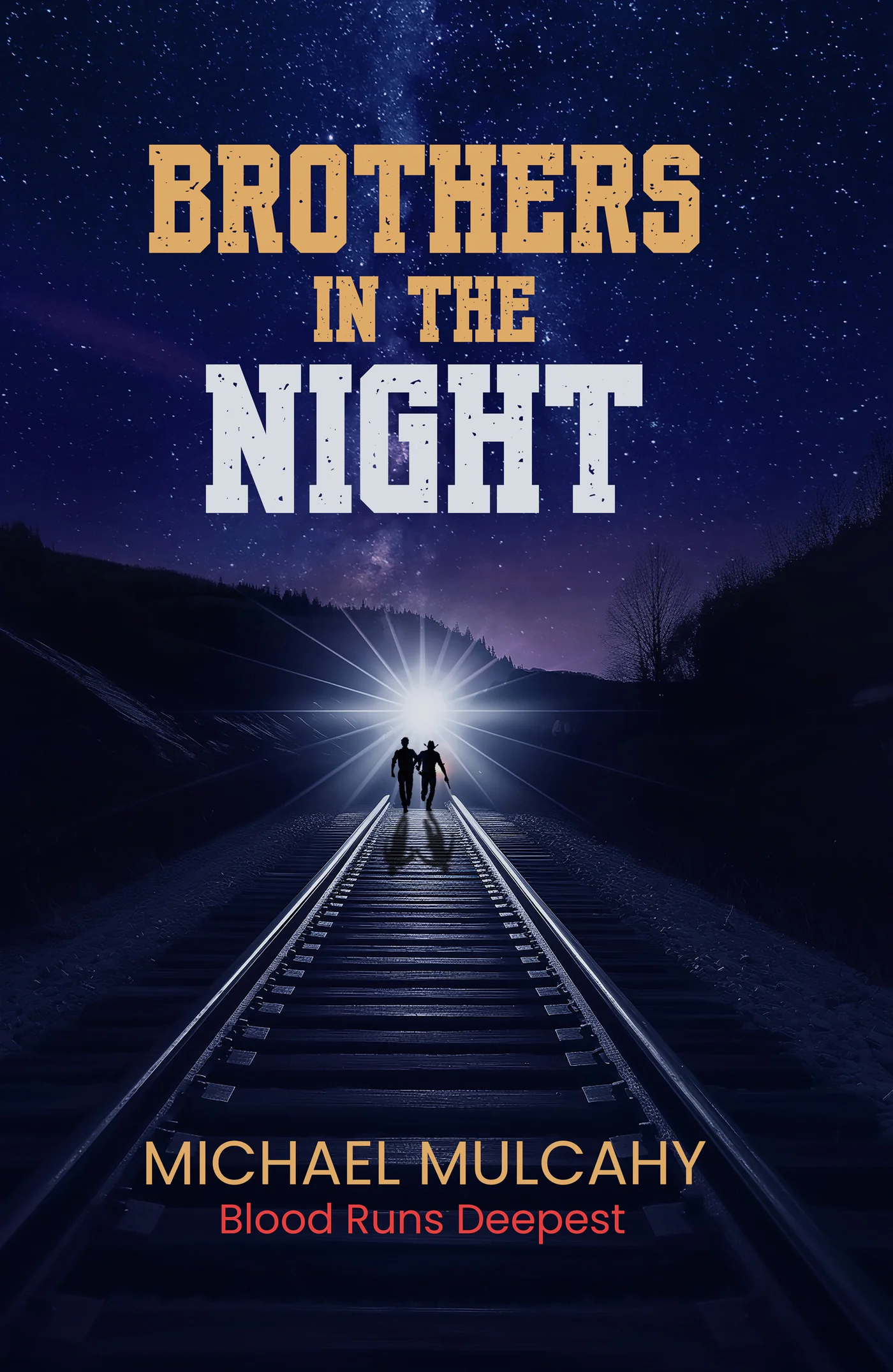 Book cover of Brothers in the Night